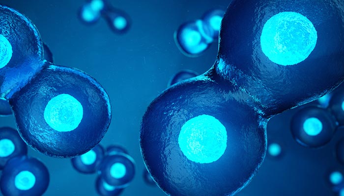 ガンキリン治療